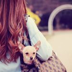 3ヶ月以内に別れるカップルの特徴・パターン・原因|なぜ短い期間で別れるの?という疑問を解決